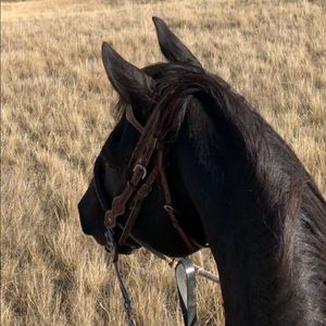 Meet your Posher, Heidi